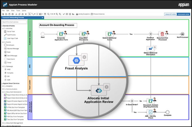 Appian interface 