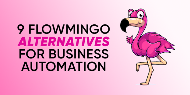 9 Flowmingo Alternatives For Business Automation