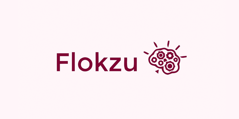 alternatives to flokzu