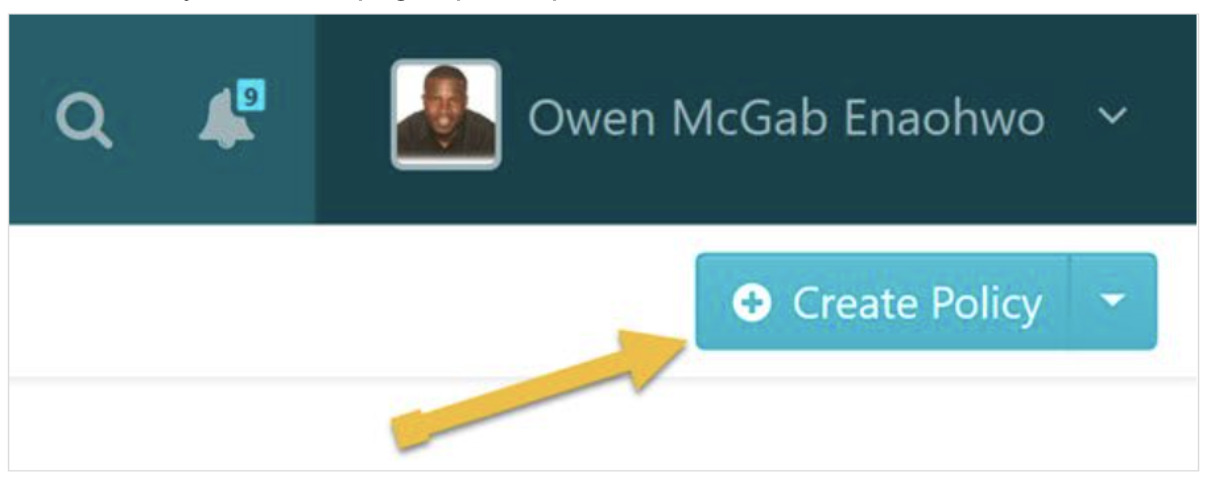 Select “Create Policy” when the page opens up.