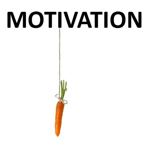 The best employees are self-motivated by procedures. They focus on peak performance. 