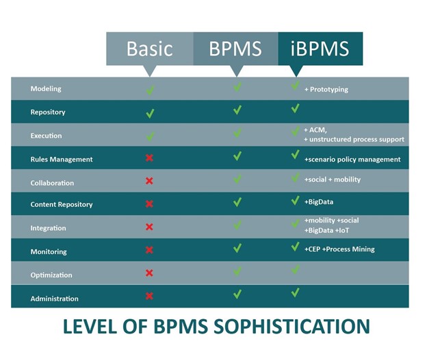 The BPMS's Level of Software Sophistication