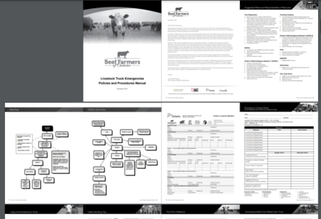Livestock Transport Policy and Procedure Template