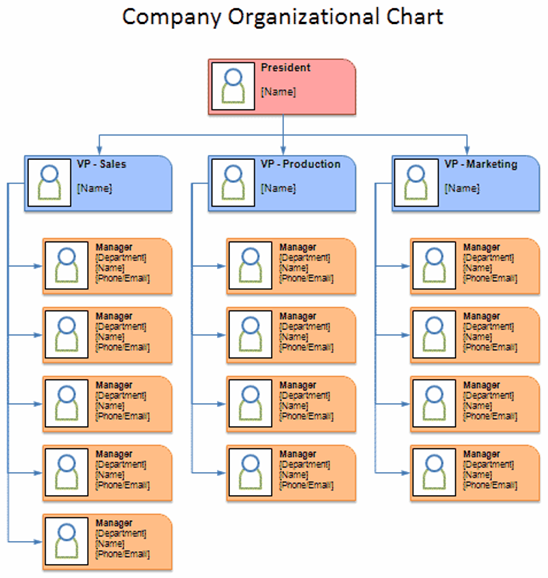Corporate Department Organizational Chart