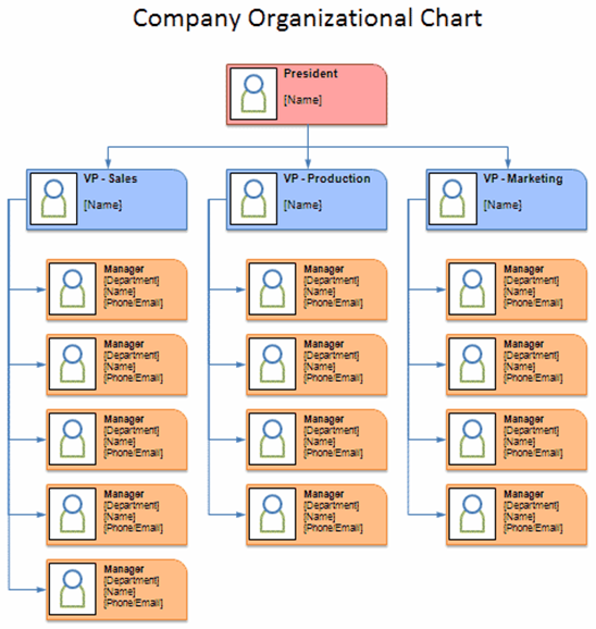 School Organizational Chart Sample