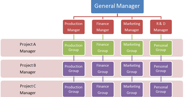 Matrix Organizational Charts