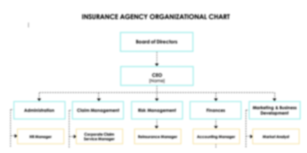 Insurance Agency Organizational Chart Template