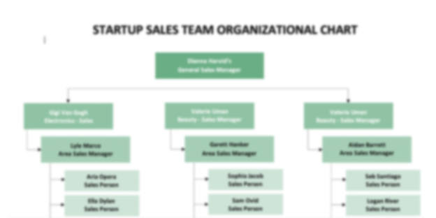 Startup Sales Team Organizational Chart Template