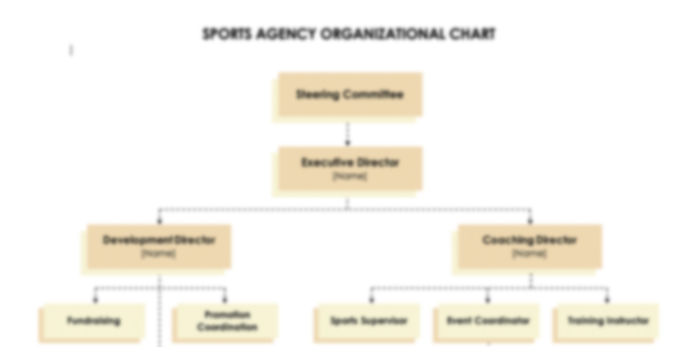 Sports Agency Organizational Chart Template