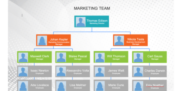 Organizational Chart Template for Marketing Team