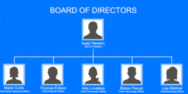 Board of Directors Organization Chart Template