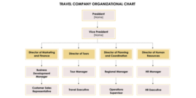 Travel Company Organizational Chart Template