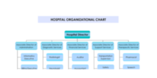 Organization Chart Template for a Hospital