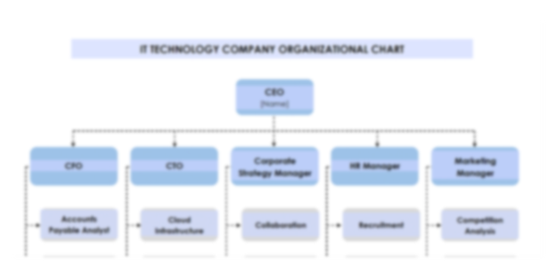 Organization Chart Template for an IT Company