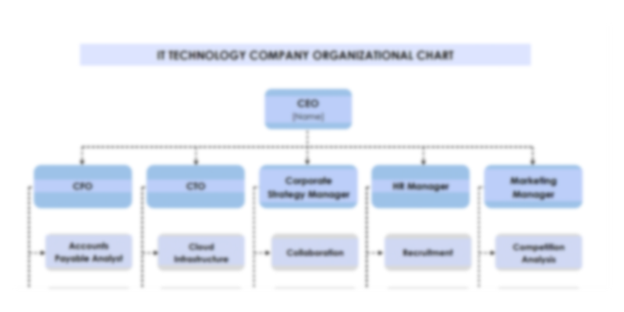 Blank Organizational Chart, Chain Of Command Principle for Free Blank Organizational  Chart Template