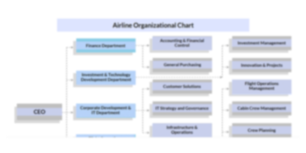 Organization Chart Template for Airline