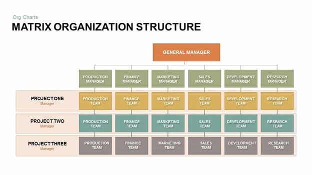 Matrix Organizational Structure Chart