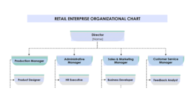 Organizational Chart Template for Retail Enterprise