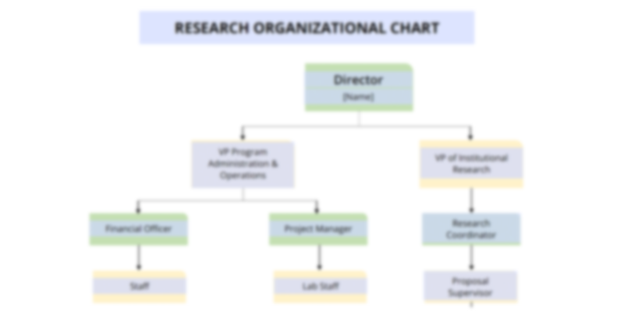 Research Organizational Chart Template