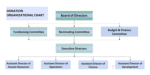 Donation Organizational Chart Template