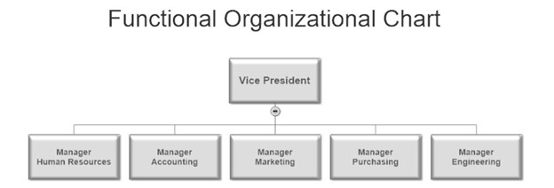 Functional Organizational Structure Chart