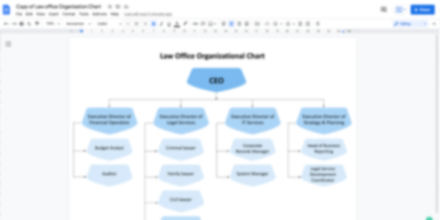 Organizational Chart Template for Law Office
