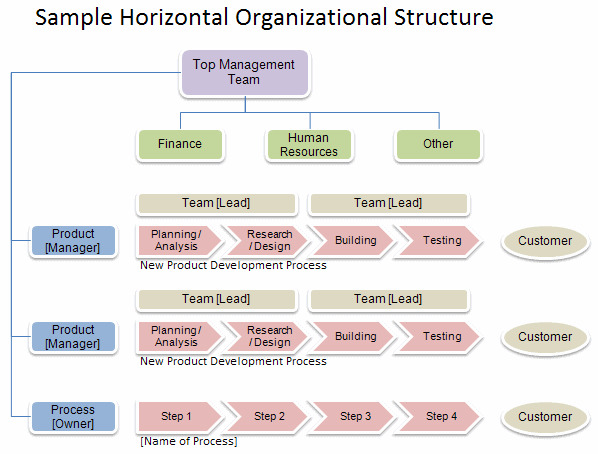 Horizontal Organizational Structure Chart