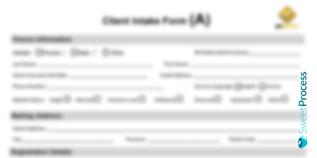 Case Management Client Intake Form Template