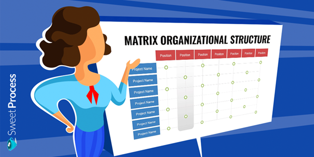 Types of Organizational Systems