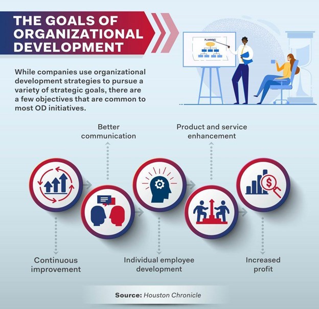 Organizational Development Goals