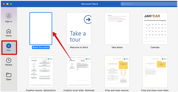 Open a new Microsoft Word document
