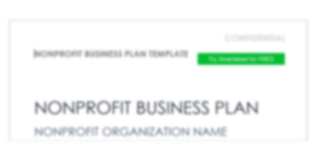 Non-profit action plan template