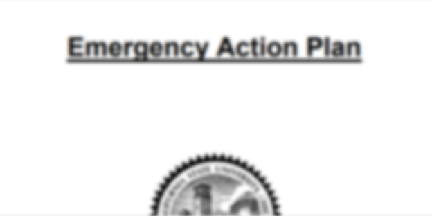 Company emergency action plan template