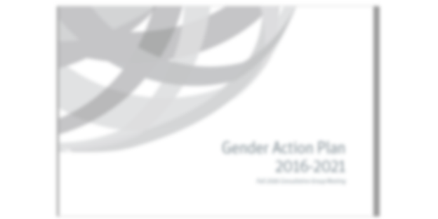 Gender action plan template