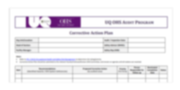 Internal audit corrective action plan template