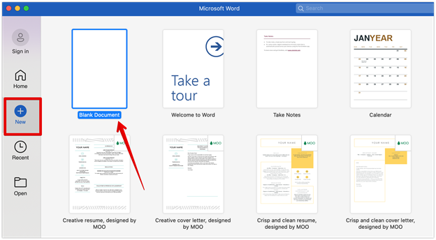 Open Microsoft Word document