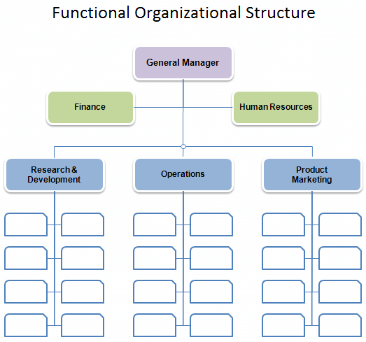 Functional Top-Down Hierarchy 