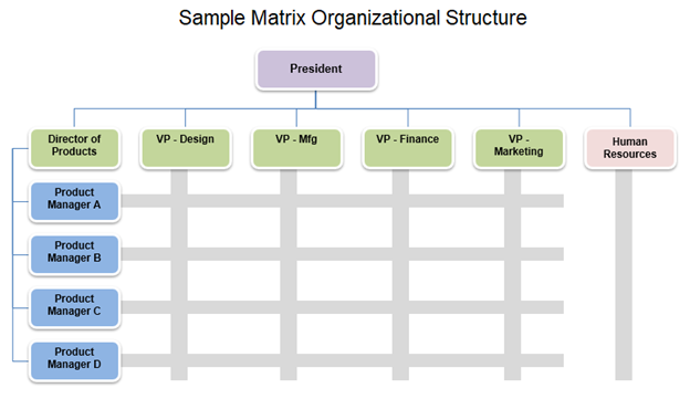 Matrix Organizational Chart