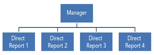 Organizational Structure - Flat Structure