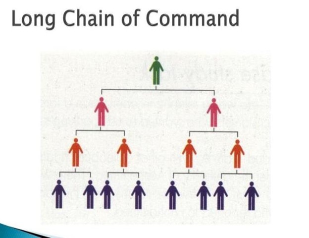 Organizational Structure The Essential 2025 Guide