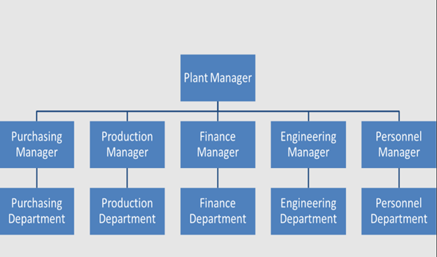 Functional Organizational Structure