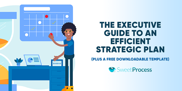 The Executive Guide to an Efficient Strategic Plan