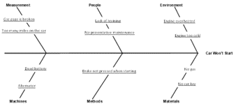 Cause and Effect Analyses