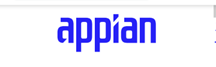 Business Process Analyris Tools - Appian