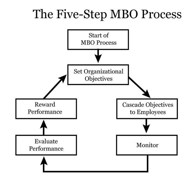 The MBO Process