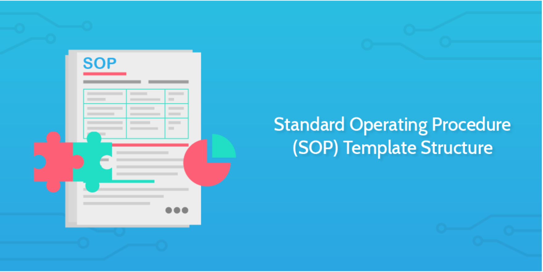How To Create Effective SOPs for Your Business [+Examples]