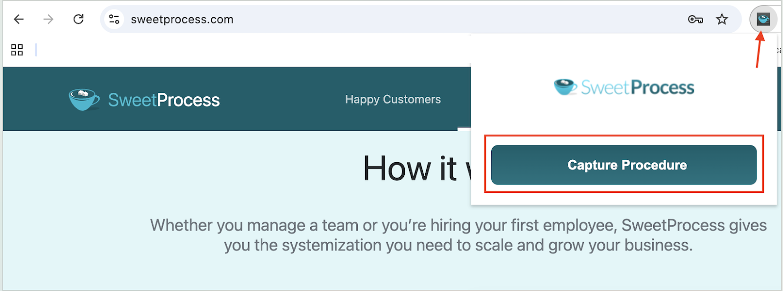 Install and use the SweetProcess Chrome extension to capture the steps